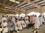 Freitagsmarkt in Nizwa