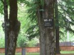 Fast überall freies WI-Fi – selbst im Park