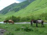 Wanderung bei Uschguli