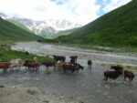 Wanderung bei Uschguli