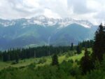 Wanderung auf den Suruldiberg bei Mestia